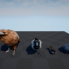 Bird Band