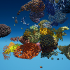 Tropical Fish
