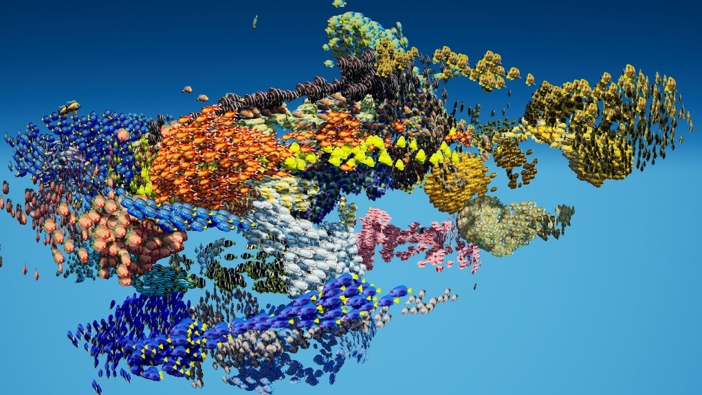 Tropical Fish - Ảnh 2