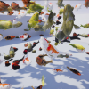 Koi