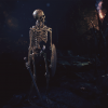 Skeleton Lightweight