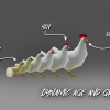 Chicken AI