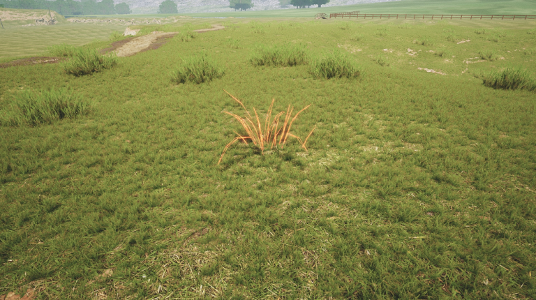 Procedural Growing Plants