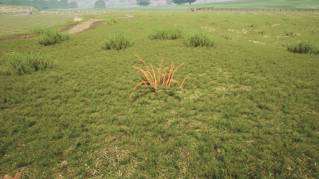 Procedural Growing Plants