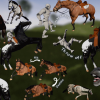 Horse Riding and Taming Kit UE 4.1X