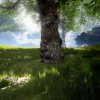 Small Animal Behavior Pack: Rabbit, Squirrel, Rat UE 4.26