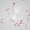 Footprint System