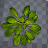 Fantasy Meadow Foliage Pack