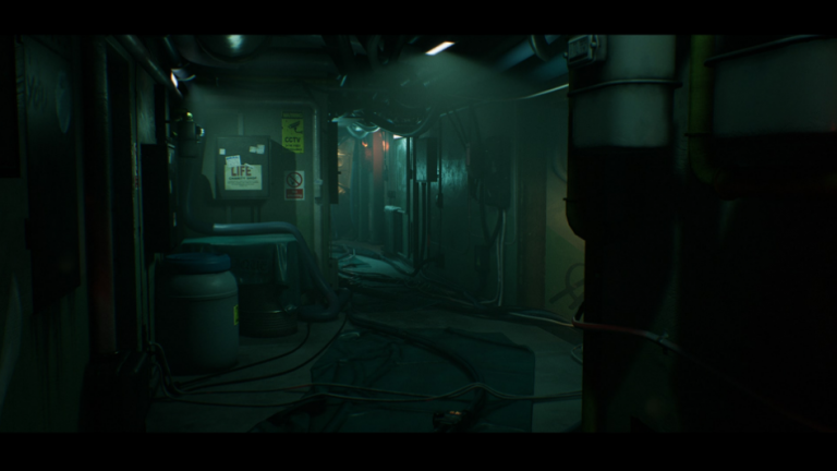 Fluorescence: Corridor and Apartment