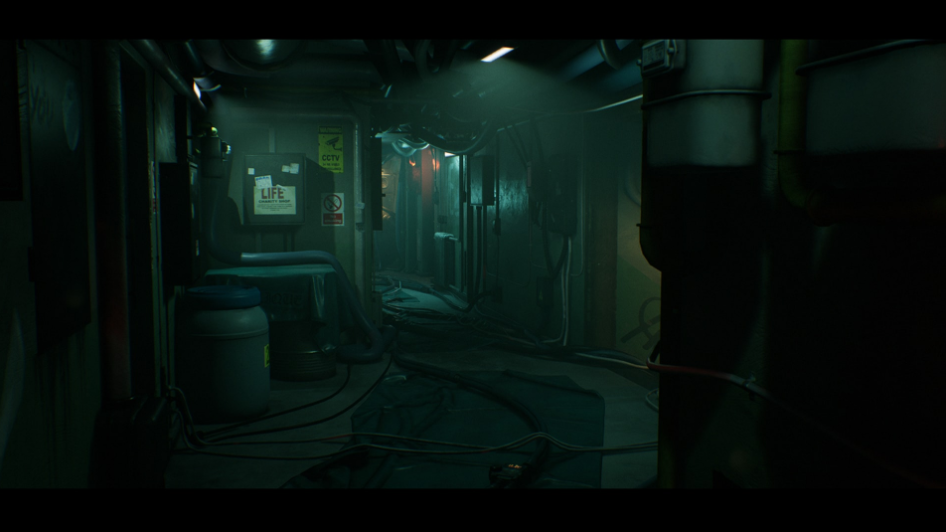 Fluorescence: Corridor and Apartment