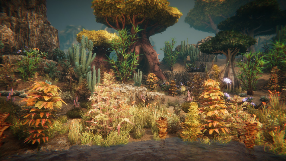 Desert plants - Ảnh 2