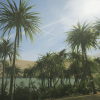 Desert Oasis