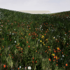 Grass with simple interaction