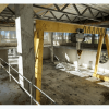 Abandoned Factory
