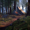 Forest Starter Pack