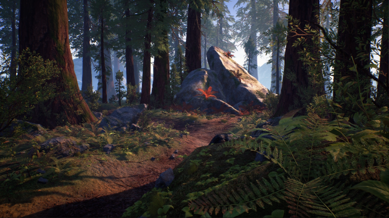 Forest Starter Pack