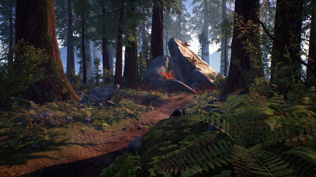 Forest Starter Pack