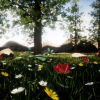 Forest pack. Easy landscape with plants and flowers