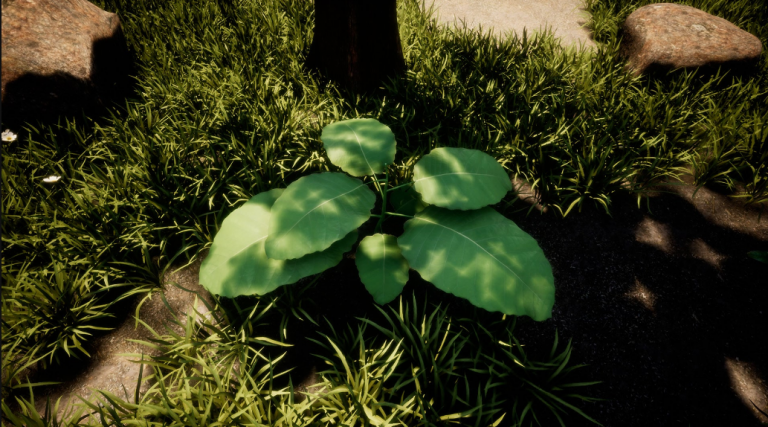 Forest pack. Easy landscape with plants and flowers - Ảnh 2