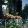 Environment Set