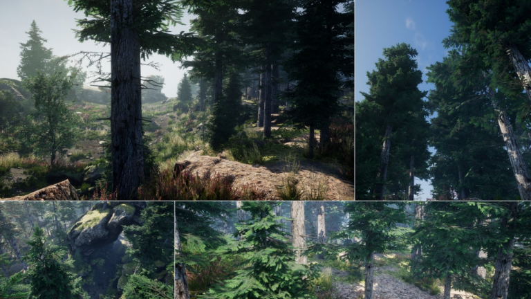Environment Set