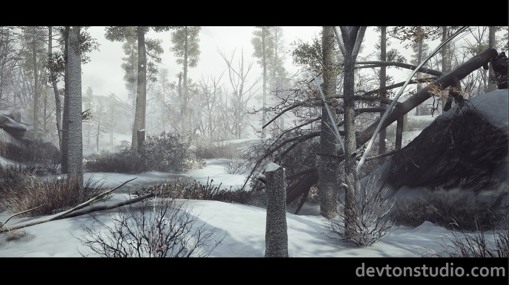 DevTon Winter Landscape