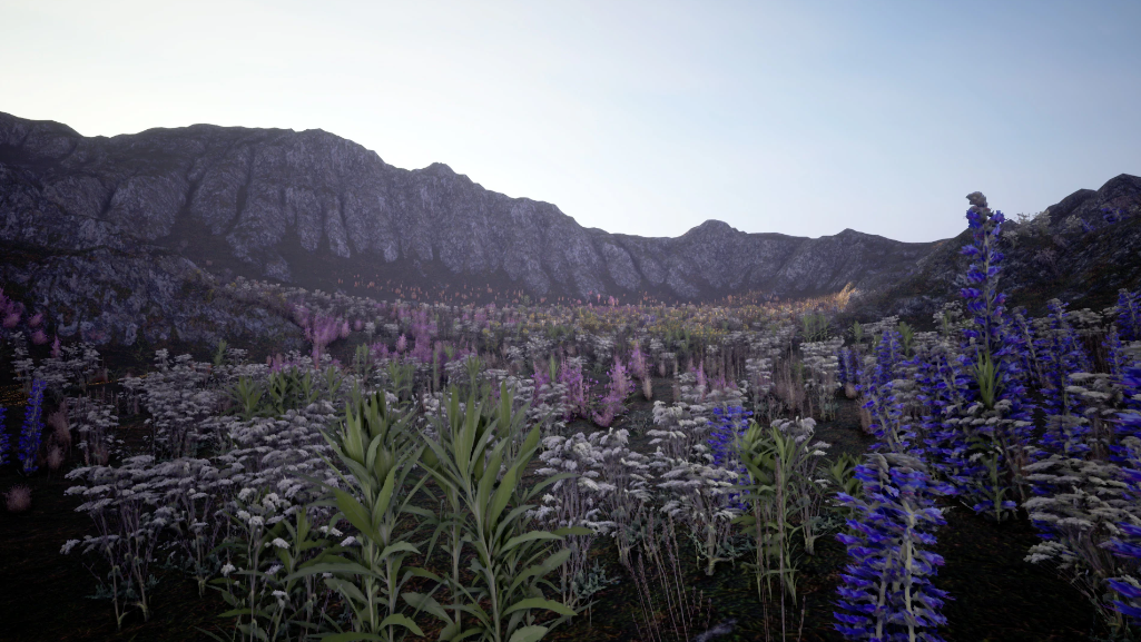 Mountains & Meadows I Outdoor Environment - Ảnh 2