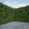 Ivy Foliage Pack 4K
