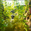 UIPF - Unified Interactive Physical Foliage v1.6.1 UE5.0+5.1+5.3.2