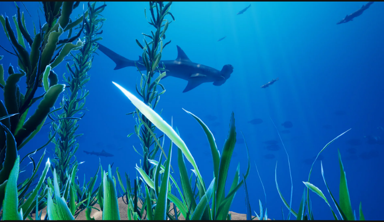 Ocean Environment Pack UE 4.26 - Ảnh 2