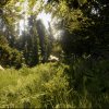 Low Poly Foliage Forest Pack