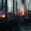 MW Burned Dead Trees Forest Biome v1.4.0 UE 4.26+UE5+UE5.1