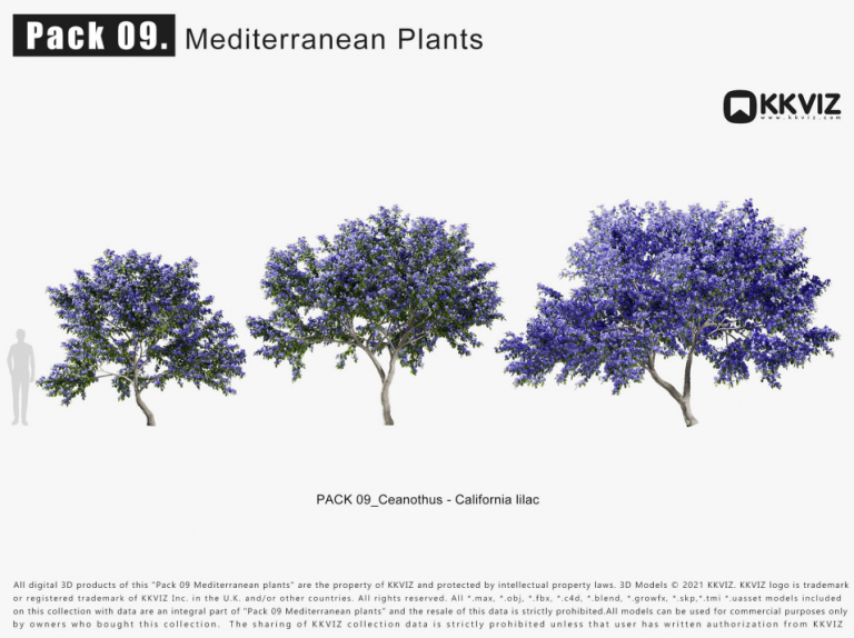 KKVIZ – Pack 09 – Mediterranean Plants 3D Model - Ảnh 5