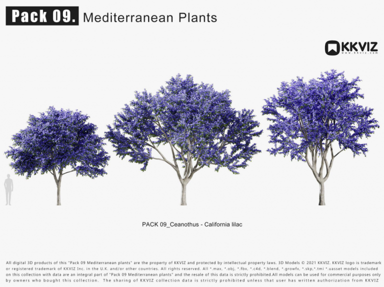 KKVIZ – Pack 09 – Mediterranean Plants 3D Model - Ảnh 6
