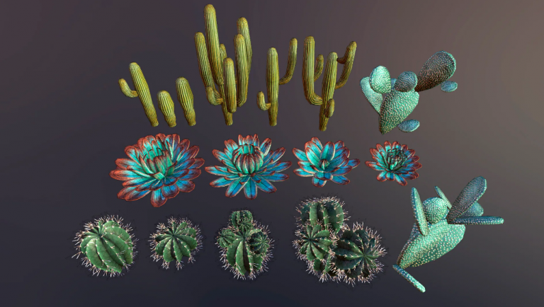 Cacti - Ảnh 2