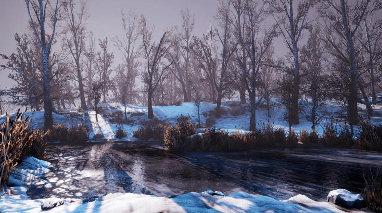 Winter Forest - Ảnh 2