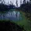 Swamp UE4