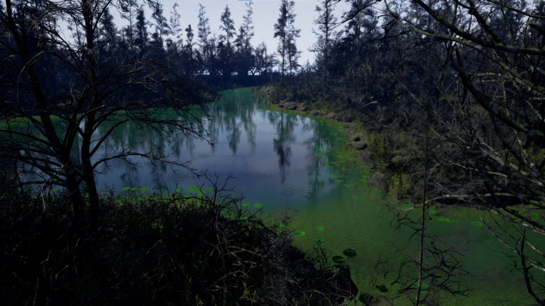 Swamp UE4