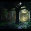 Watermills / Nature Environment