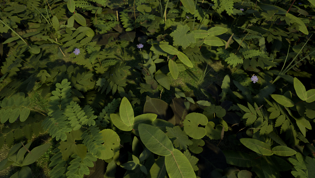 Ontario PBR Plant Pack