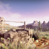 Semi-Arid Desert Environment