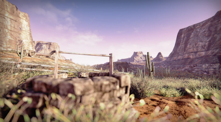 Semi-Arid Desert Environment
