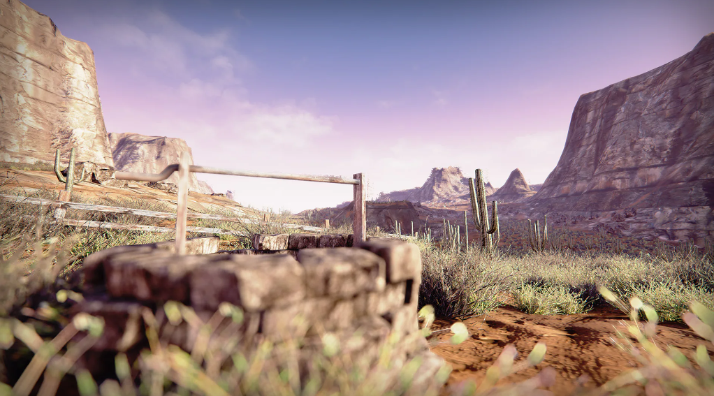 Semi-Arid Desert Environment