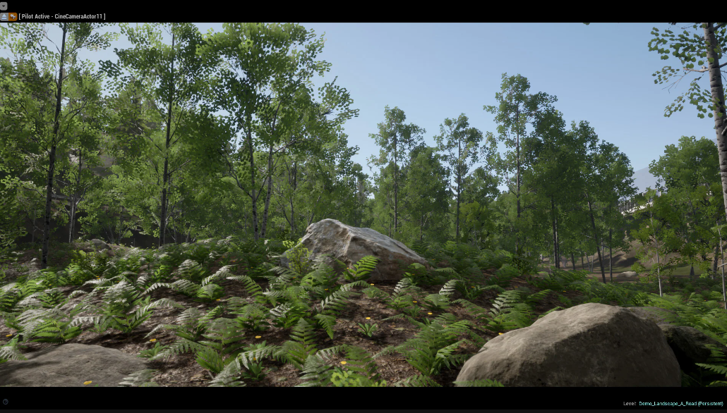Realistic Forest Pack