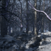 Cold Forest