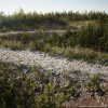 MW Interactive Foliage UE 4.27