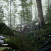 Forest - Environment Set