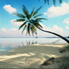 Brushify - Tropical Pack