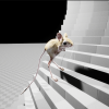 Jerboa
