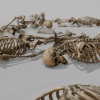 Modular Human Skeleton